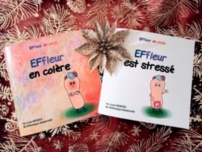 Livres EFfleur pour Noël