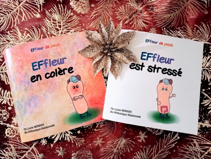 Livres EFfleur pour Noël Livres EFfleur pour Noël