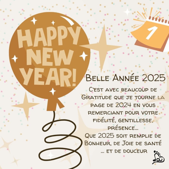 Bonne année 2025 ! Bonne année 2025 !
