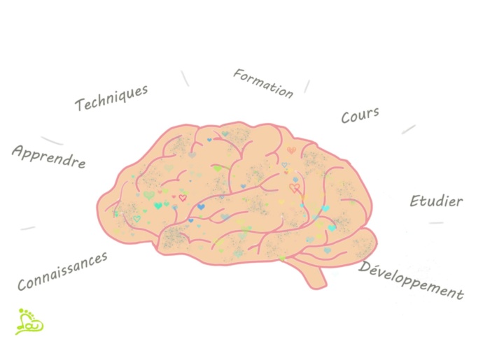 Formation-eft-nord-reflexologie